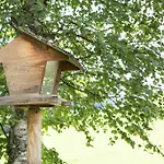 Ferienhaus Sara - Kaernten Card Im Sommer Inklusive *