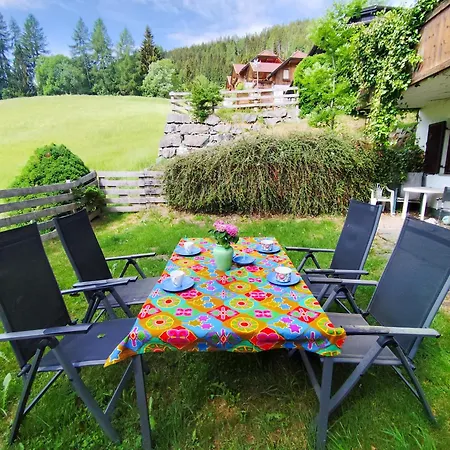 Ferienhaus Sara Bad Kleinkirchheim *