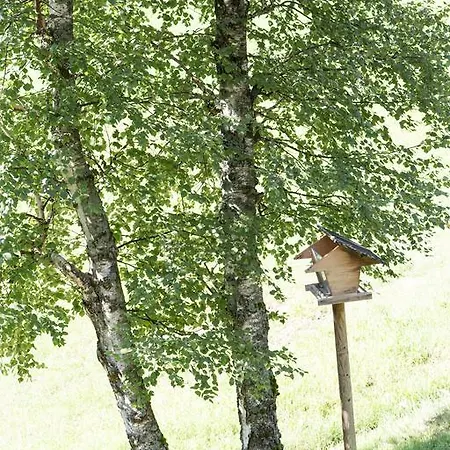 Sara 度假居 巴德小基希海姆