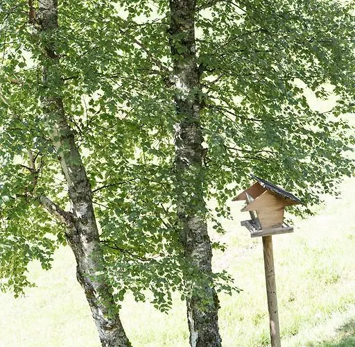 Sara Dom wakacyjny Bad Kleinkirchheim